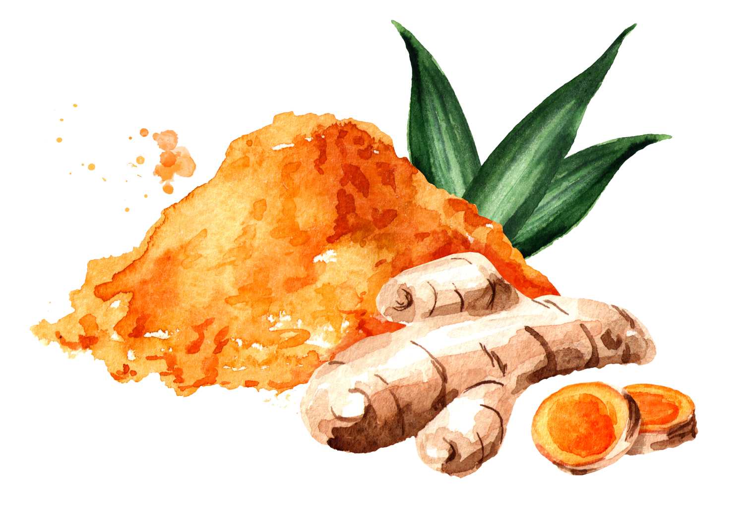 Do Turmeric and Curcumin Really Work for Arthritis?